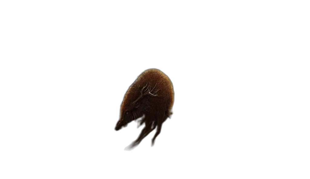 hair, hat, creature, animal, photorealistic, concept art, watercolor, 3d render transparent PNG cut-out