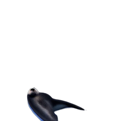 animal, creature, shoes, staff transparent PNG cut-out