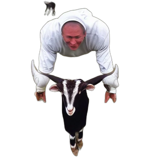 animal, creature, jacket, staff transparent PNG cut-out