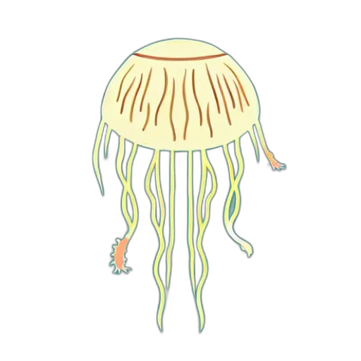 hat, creature, hair, umbrella transparent PNG cut-out
