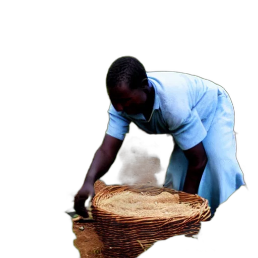 food, staff, tree, animal transparent PNG cut-out