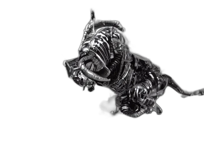 jewelry, dragon, animal, creature transparent PNG cut-out