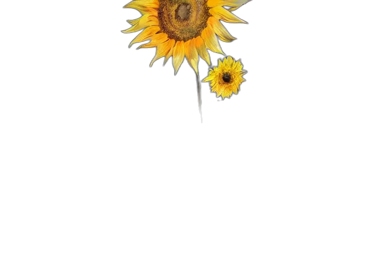 flower, crown, staff, jewelry transparent PNG cut-out