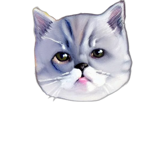 face, hat, animal, photorealistic transparent PNG cut-out