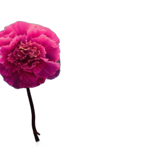 flower, crown, hat, umbrella, photorealistic, 3d render, dark, giant transparent PNG cut-out