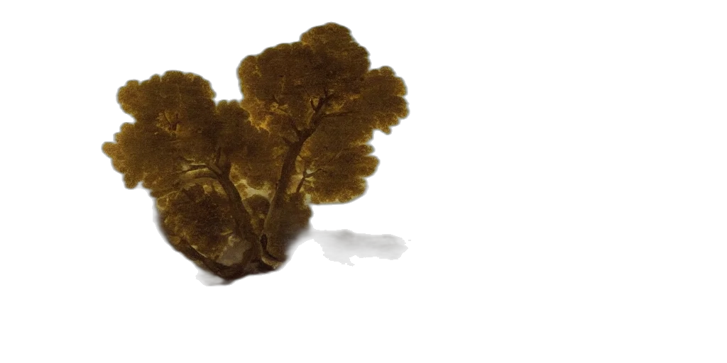 crown, tree, hair, jewelry, golden, exploding, volcano, seething transparent PNG cut-out