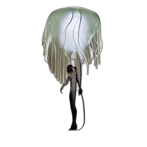hair, creature, hat, umbrella, concept art, 3d render, fantasy art, photorealistic transparent PNG cut-out