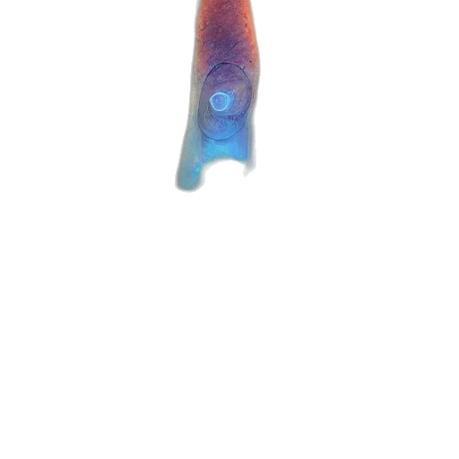 staff, sword, weapon, bottle, 3d render, vaporwave, watercolor, anime transparent PNG cut-out