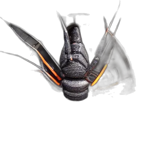 dragon, animal, creature, staff transparent PNG cut-out