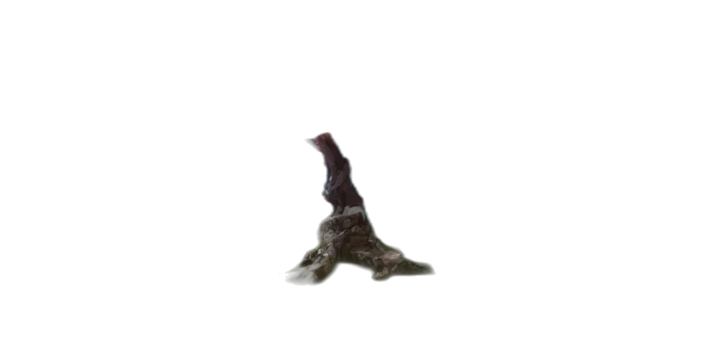 dragon, animal, shoes, creature, 3d render, photorealistic, concept art, underwater transparent PNG cut-out