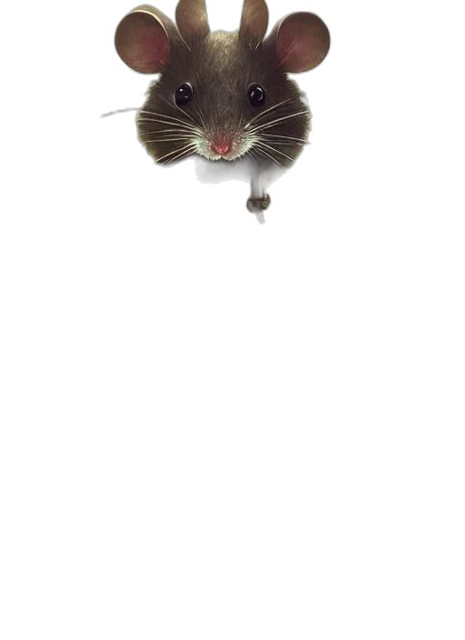 animal, creature, hat, staff, photorealistic, 3d render, concept art, highly transparent PNG cut-out