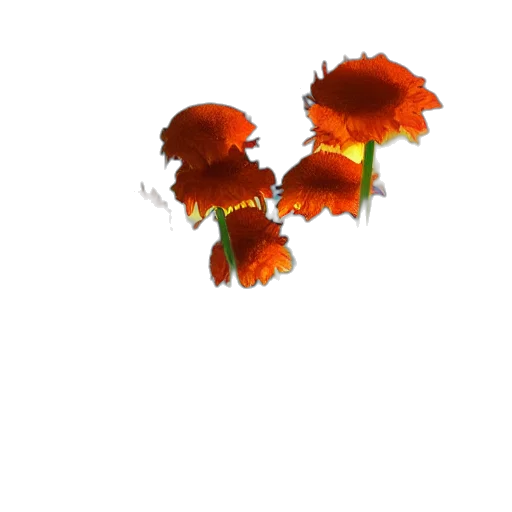 flower, crown, animal, staff transparent PNG cut-out