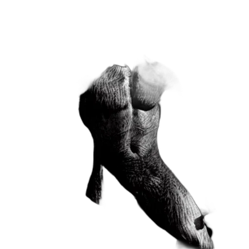 shoes, animal, weapon, hair, photorealistic, concept art, pencil sketch, 3d render transparent PNG cut-out