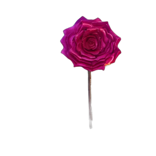 flower, umbrella, staff, jewelry transparent PNG cut-out