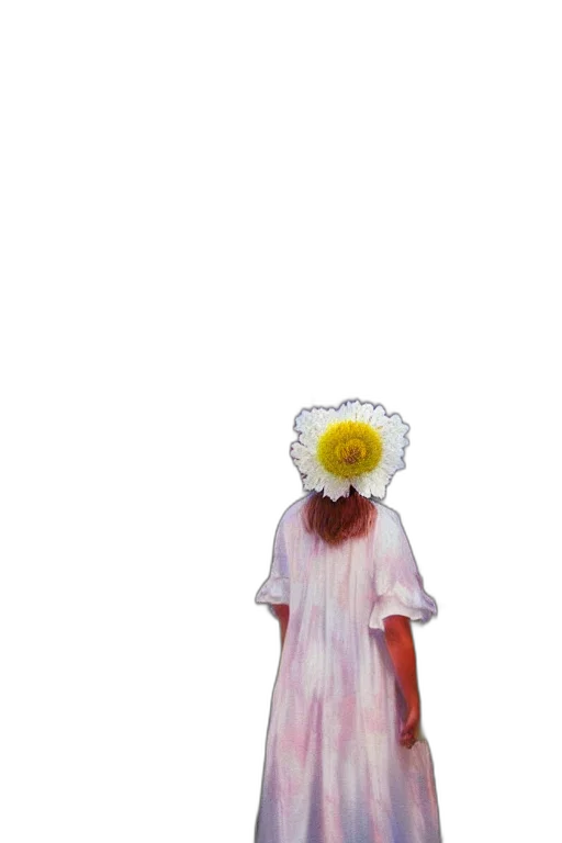 dress, flower, mask, hat, pixel art, photorealistic, concept art, 3d render transparent PNG cut-out