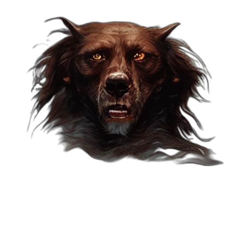 creature, animal, face, mask transparent PNG cut-out