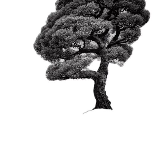 tree, crown, hair, animal, photorealistic, pencil sketch, concept art, fantasy art transparent PNG cut-out