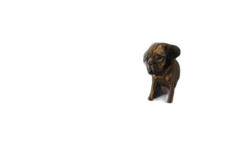 animal, staff, creature, face transparent PNG cut-out
