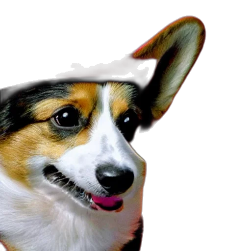 animal, hat, creature, face, photorealistic, 3d render, vaporwave, anime transparent PNG cut-out