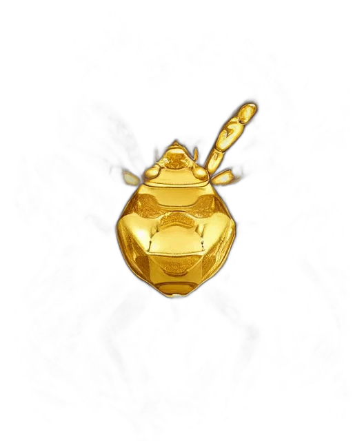 jewelry, crown, staff, flower transparent PNG cut-out