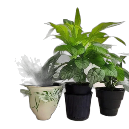 3d render, photorealistic, house, plants, sale, facebook, marketplace transparent PNG cut-out