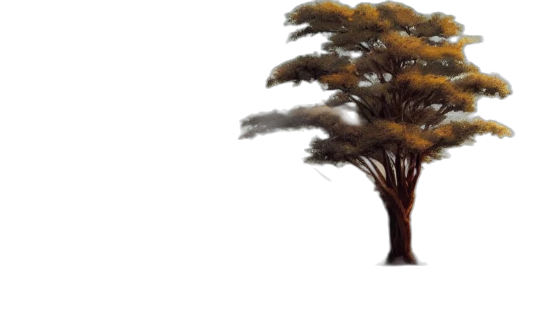 tree, hair, creature, crown transparent PNG cut-out