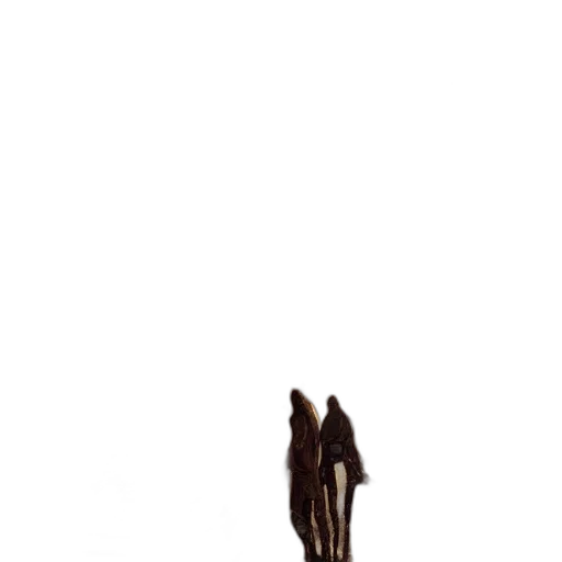 shoes, animal, staff, dress, 3d render, concept art, pixel art, photorealistic transparent PNG cut-out