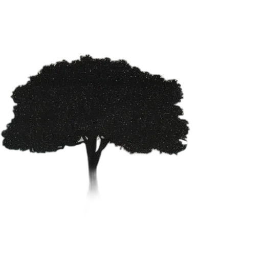 tree, crown, hair, umbrella transparent PNG cut-out
