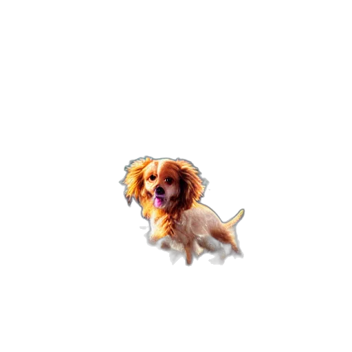 animal, creature, staff, hair, pixel art, photorealistic, oil painting, 3d render transparent PNG cut-out