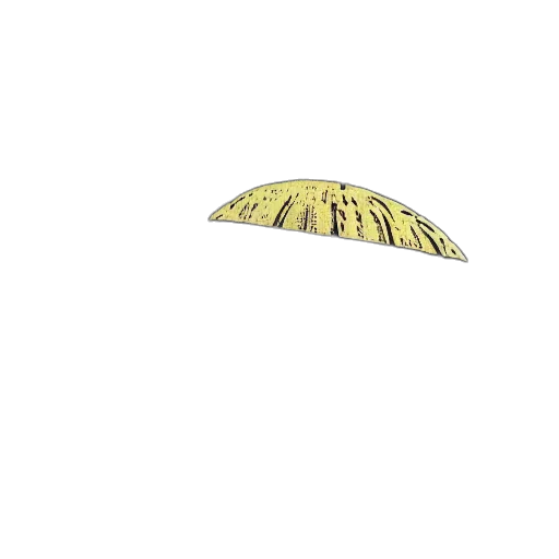 umbrella, hat, crown, hair transparent PNG cut-out