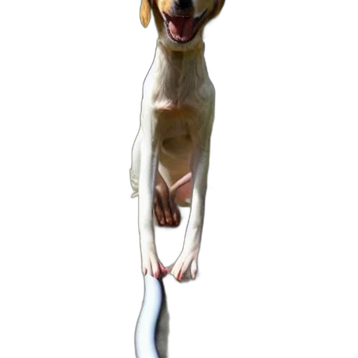 staff, animal, creature, weapon, 3d render, photorealistic, concept art, cartoon transparent PNG cut-out