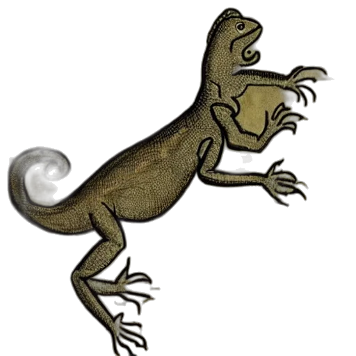 creature, dragon, animal, staff transparent PNG cut-out