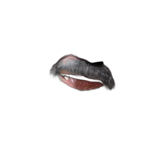 face, creature, animal, mask transparent PNG cut-out