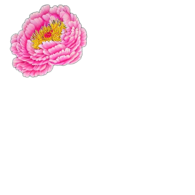 flower, crown, hat, jewelry transparent PNG cut-out