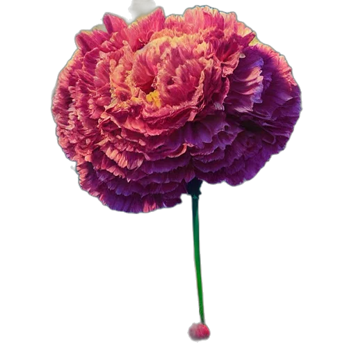 flower, crown, hat, staff transparent PNG cut-out