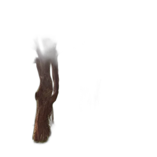 hair, creature, dress, shoes, 3d render, photorealistic, concept art, pixel art transparent PNG cut-out