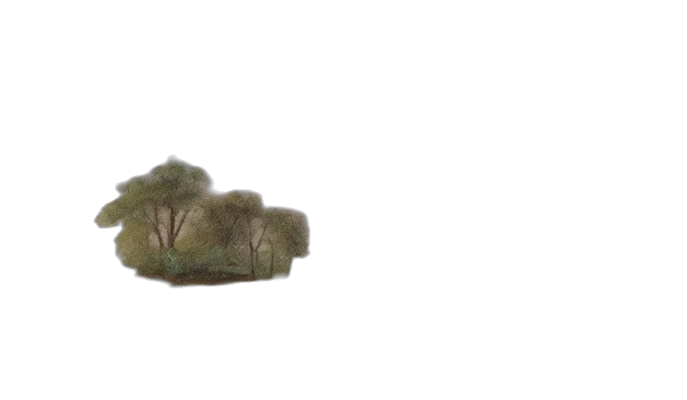 tree, car, crown, hat transparent PNG cut-out