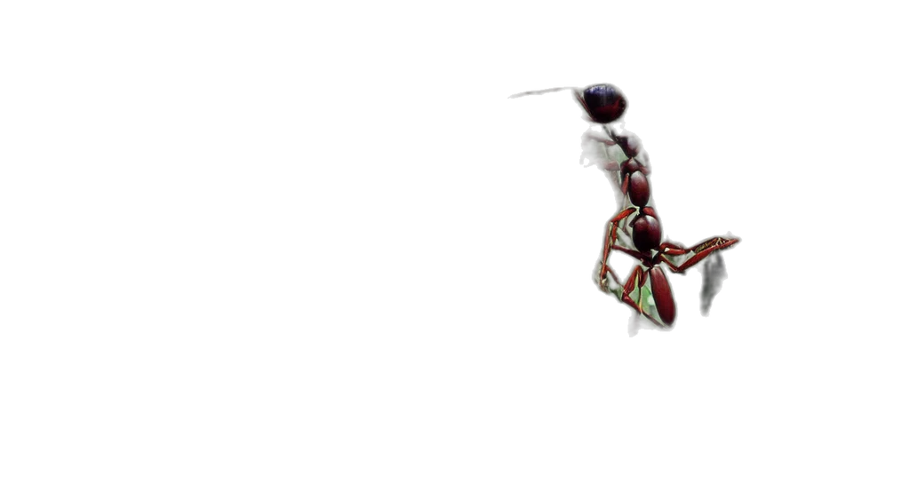 staff, jewelry, robot, weapon transparent PNG cut-out