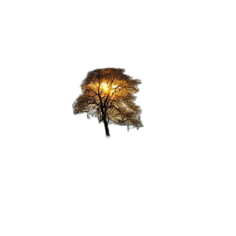 tree, crown, hat, hair, 3d render, concept art, photorealistic, pixel art transparent PNG cut-out