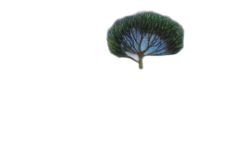 tree, crown, hat, hair transparent PNG cut-out