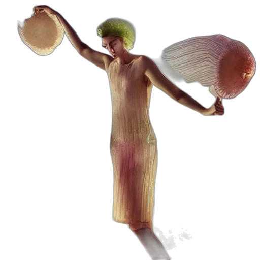 dress, food, hat, hair, concept art, watercolor, photorealistic, fantasy art transparent PNG cut-out