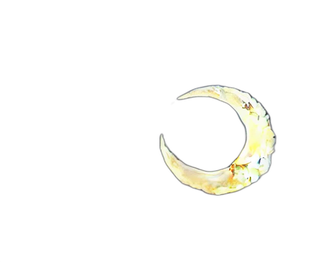 dragon, staff, jewelry, mask, anime, pixel art, concept art, fantasy art transparent PNG cut-out