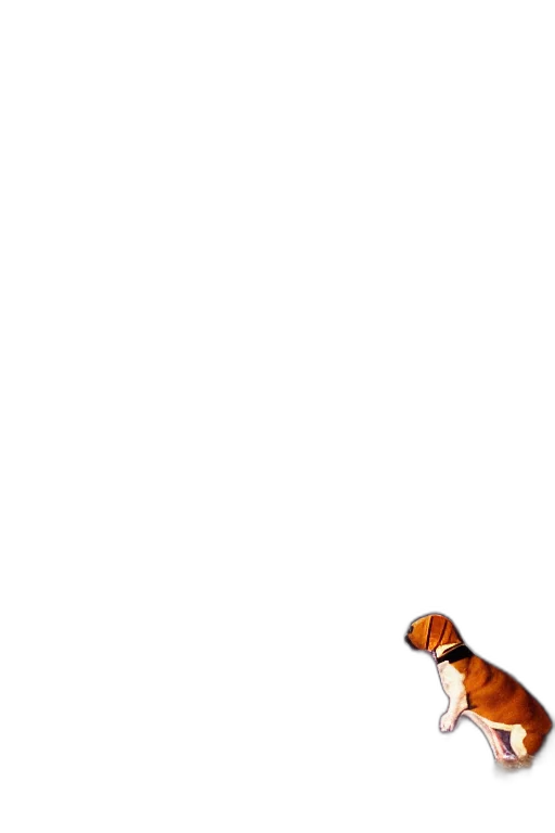 animal, creature, staff, dragon transparent PNG cut-out