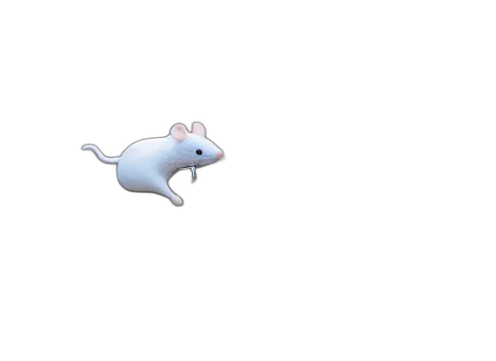 animal, creature, hat, weapon transparent PNG cut-out