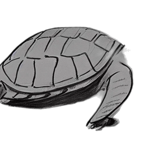 hat, creature, jacket, animal transparent PNG cut-out