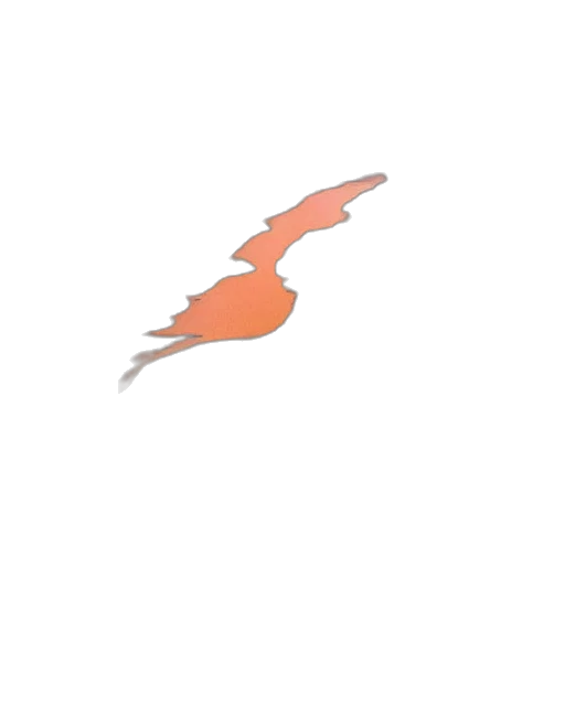 dragon, animal, staff, weapon, pixel art, concept art, watercolor, anime transparent PNG cut-out