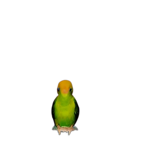 animal, creature, staff, robot, 3d render, pixel art, concept art, photorealistic transparent PNG cut-out