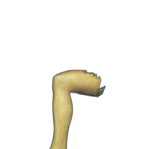 staff, weapon, hair, animal, concept art, 3d render, photorealistic, pixel art transparent PNG cut-out