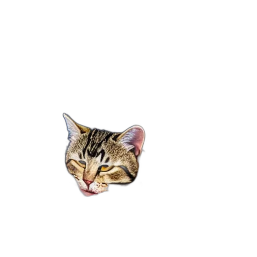 animal, creature, face, hat, pixel art, photorealistic, 3d render, vaporwave transparent PNG cut-out