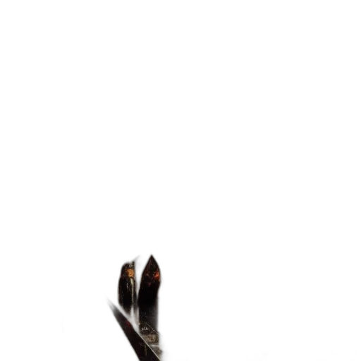 shoes, staff, weapon, hair transparent PNG cut-out